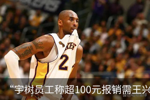 “宇树员工称超100元报销需王兴兴审批”热搜第一，宇树科技回应