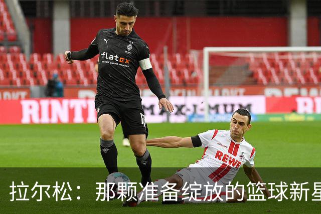拉尔松：那颗准备绽放的篮球新星